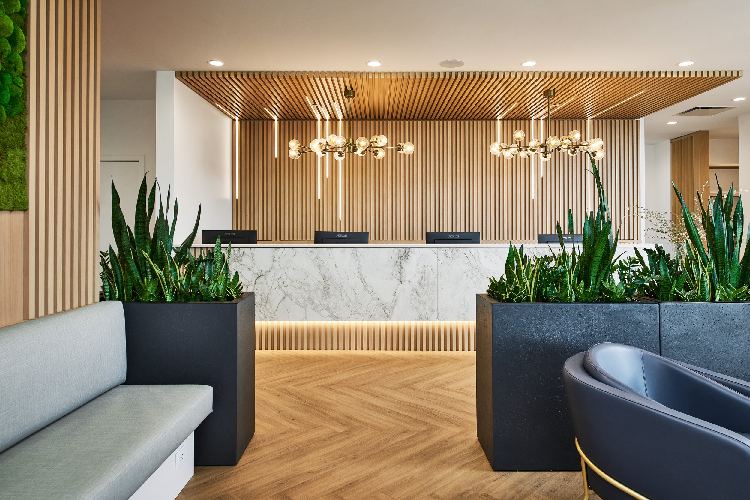 22119 - SDG10708 1.jpg