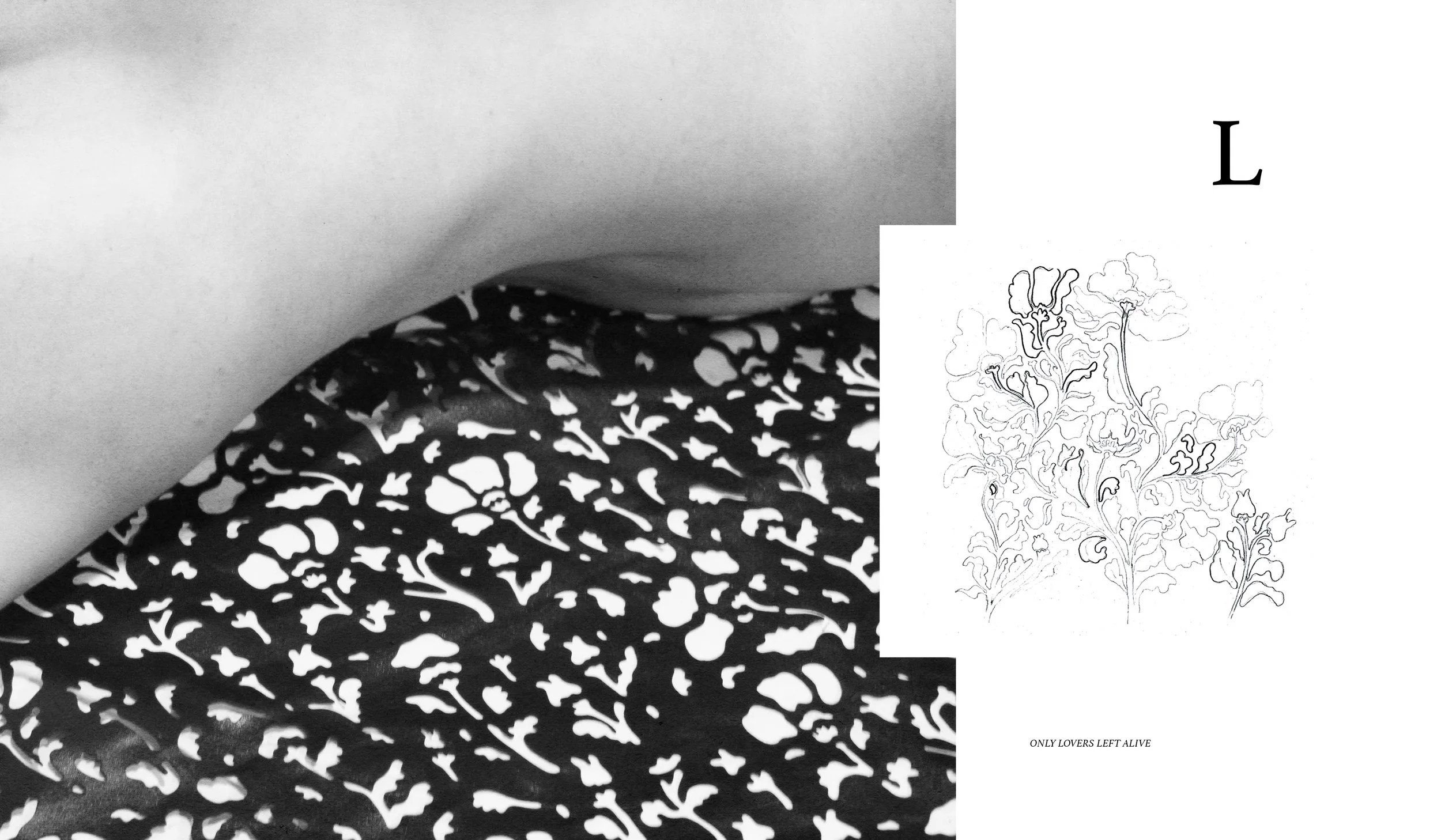 fashion book_1213.jpg