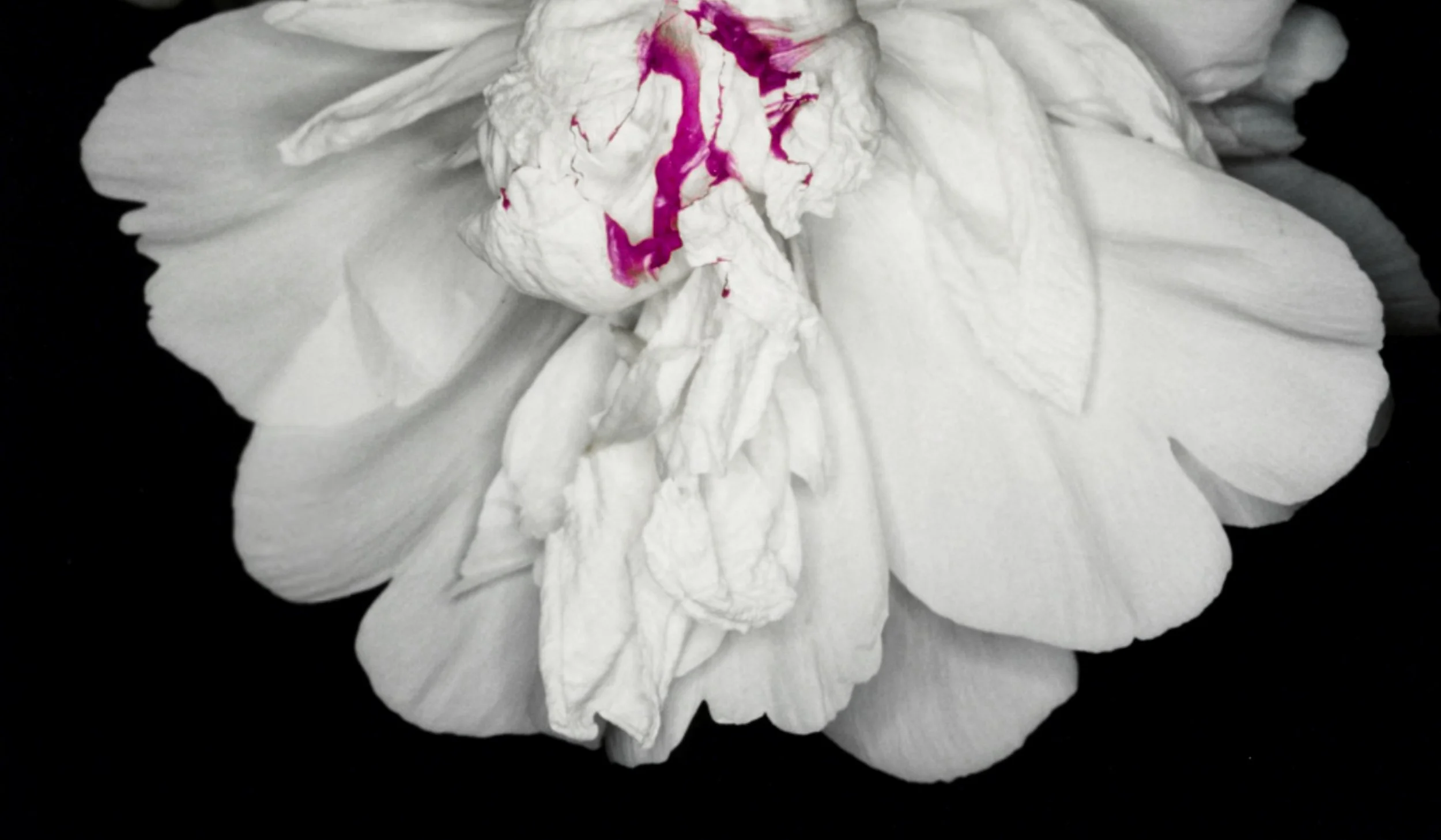 fashion book_1011.jpg