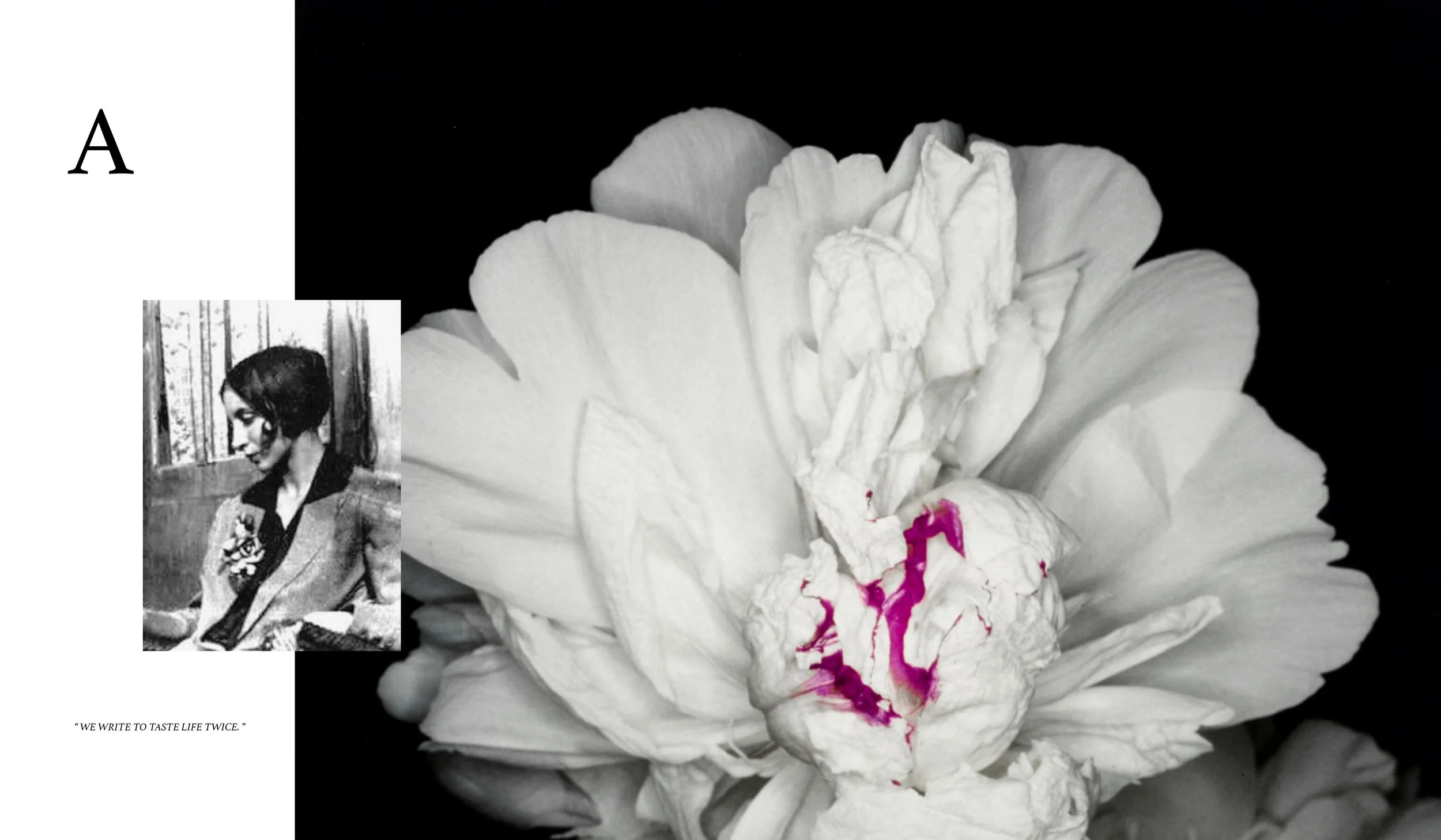 fashion book_1213.jpg
