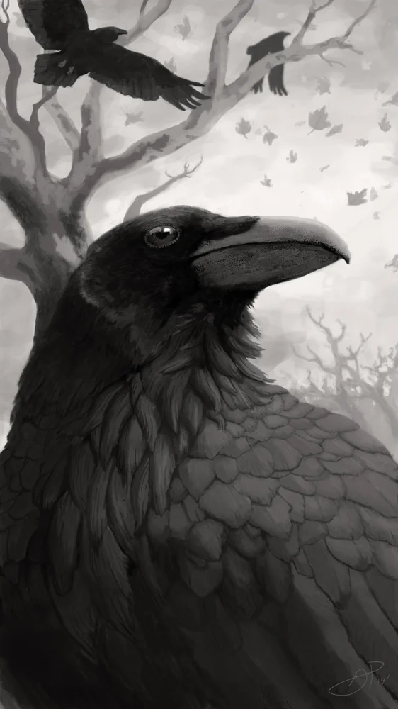 Fall Feathers