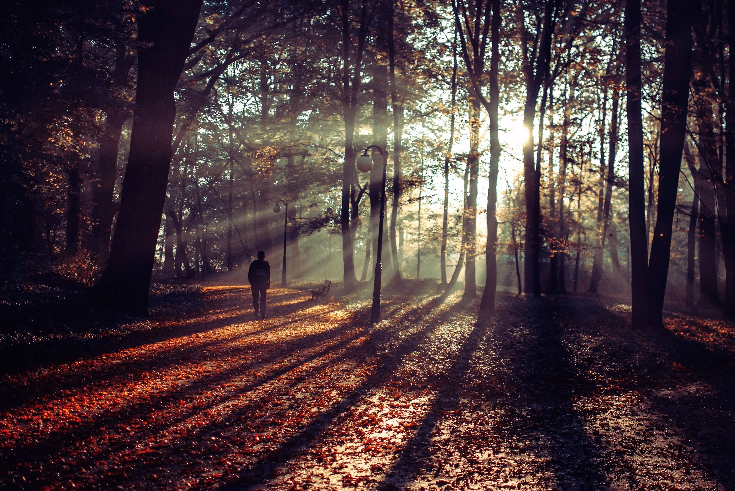 person-walking-beautiful-pathway-covered-with-autumnal-leaves.jpg