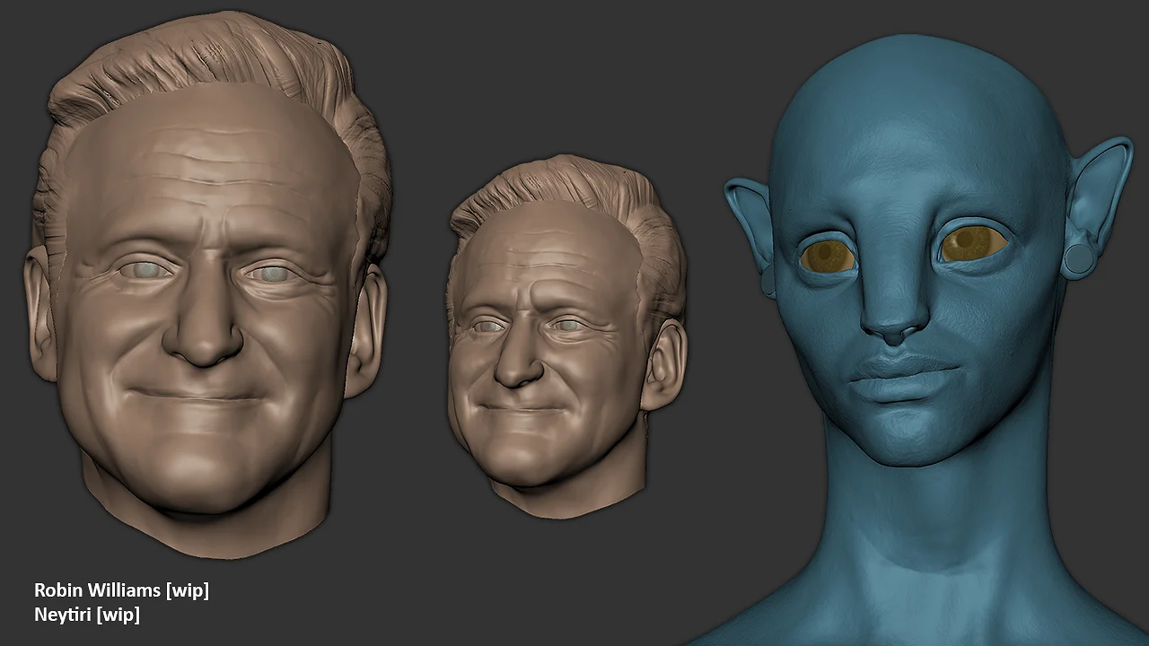 Speed Sculpts