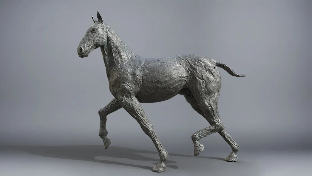 horseTest_001.jpg