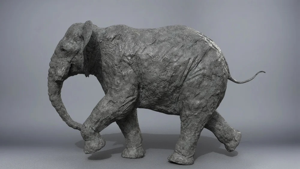 ElephantTest_001.jpg