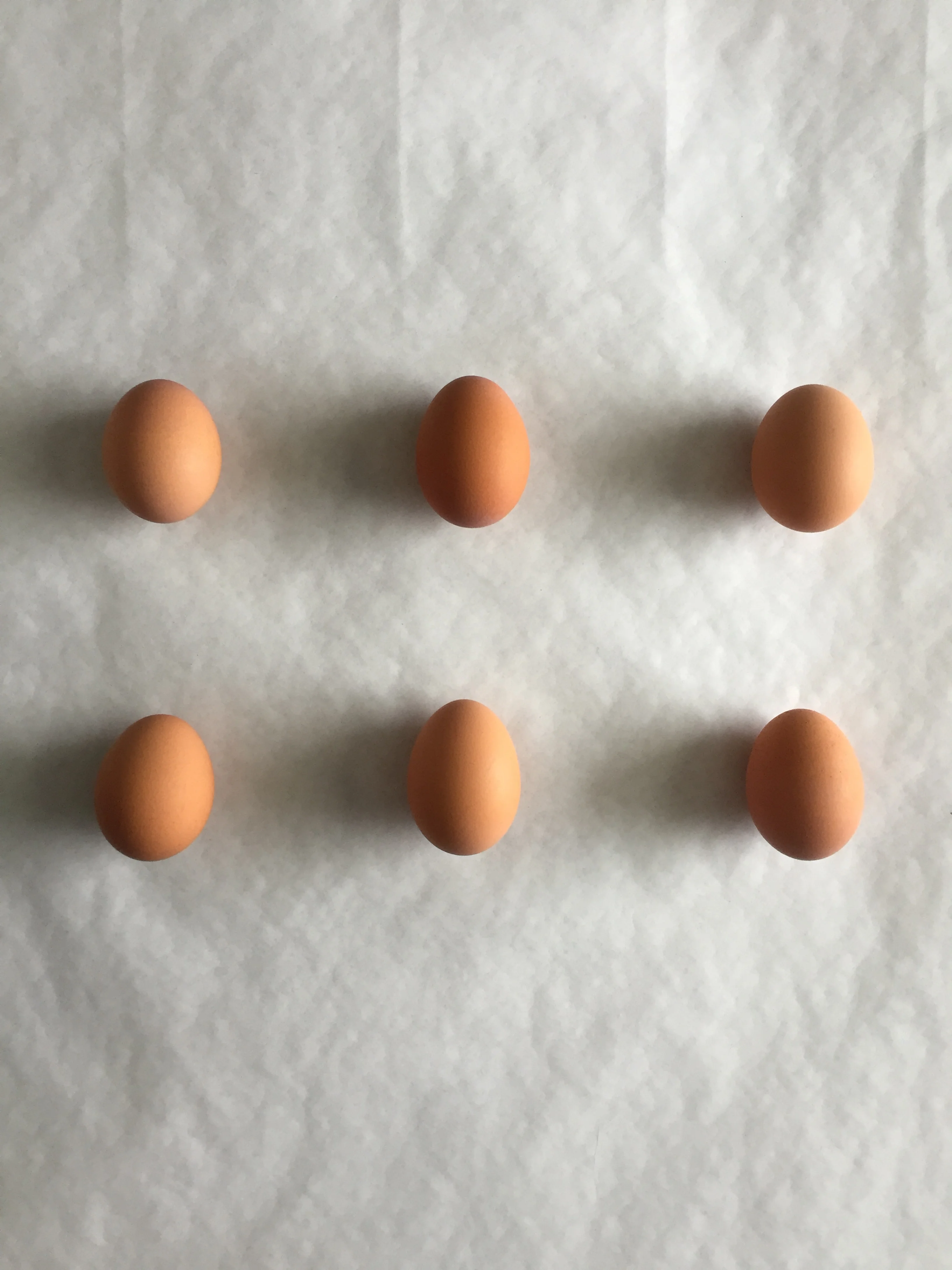 Two of these eggs may or may not have been eaten for breakfast immediately following this shoot.