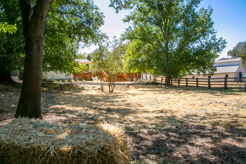 2008 San Miguel Drive Walnut Creek 94596 Modern Farmhouse for Sale