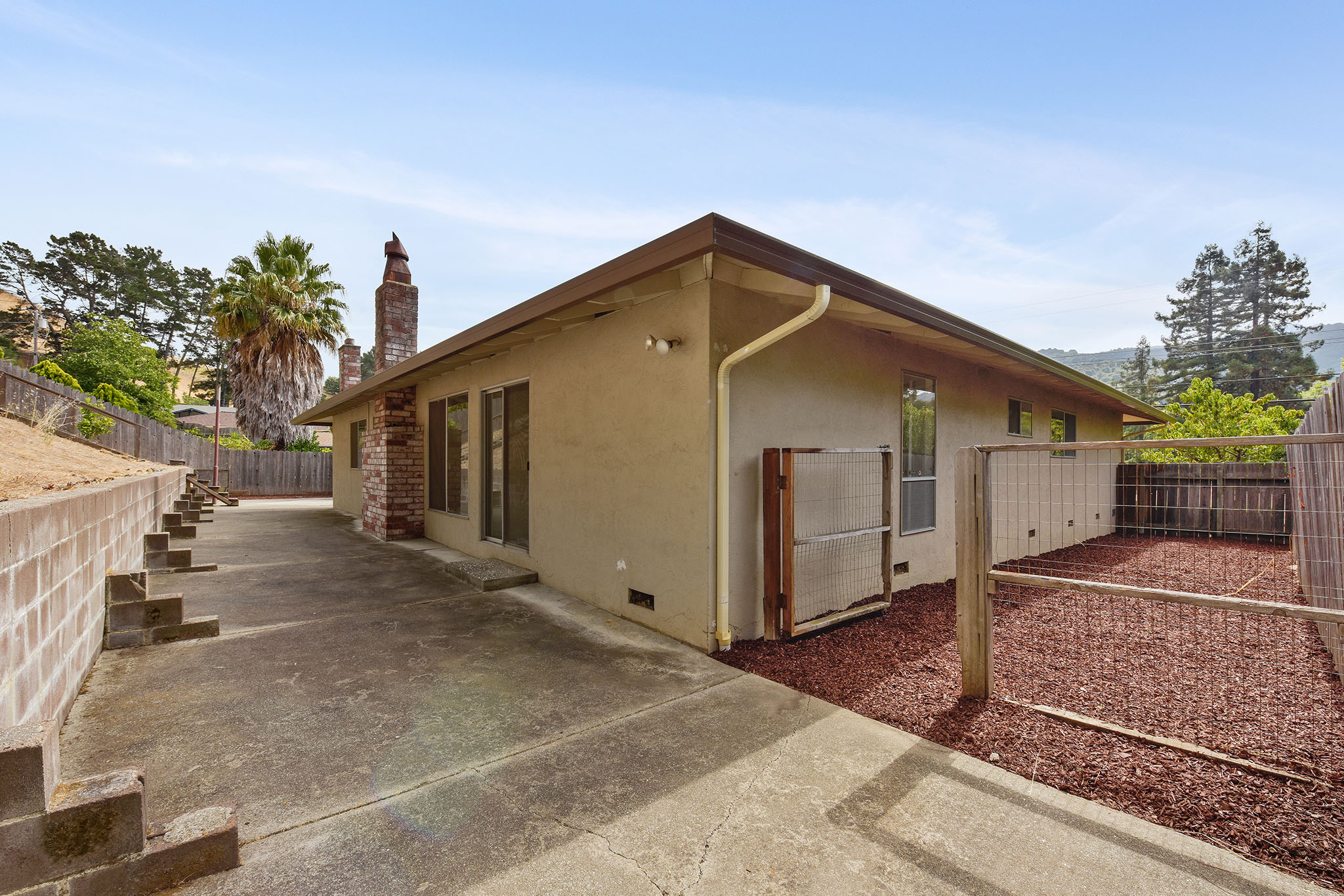 Side Yard View.jpg