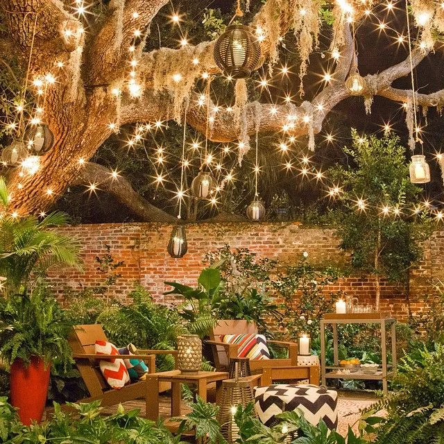 Backyard oasis distracts from busy street.