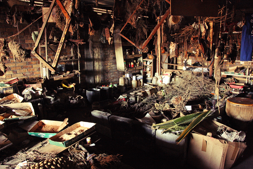scene6.jpg