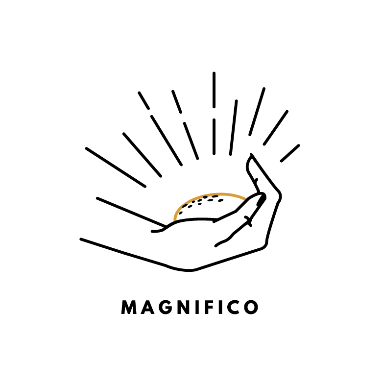 Magnifico