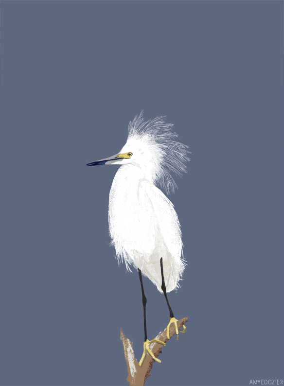 6d64cb17645631.562bcaa58aef3.png