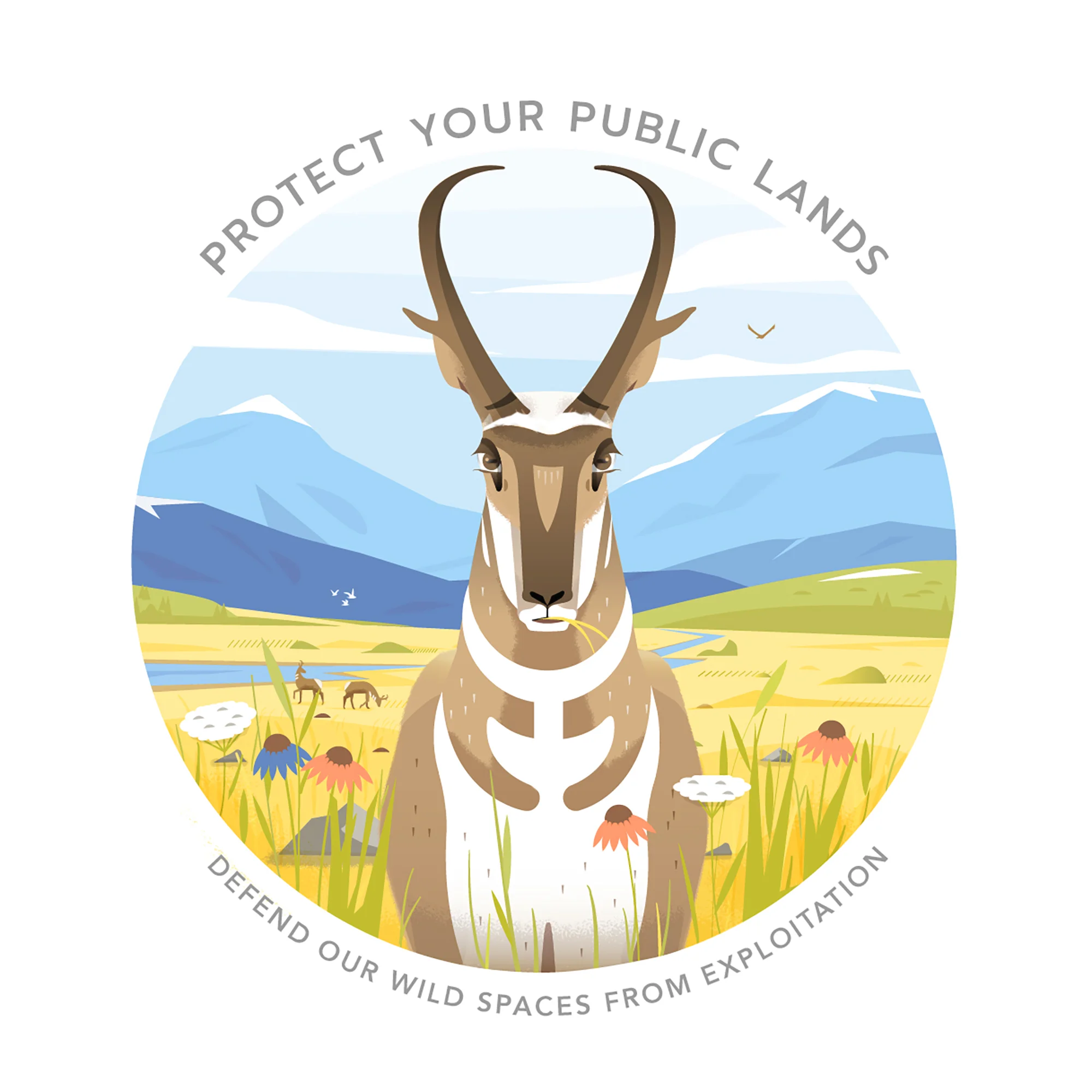 Pronghorn