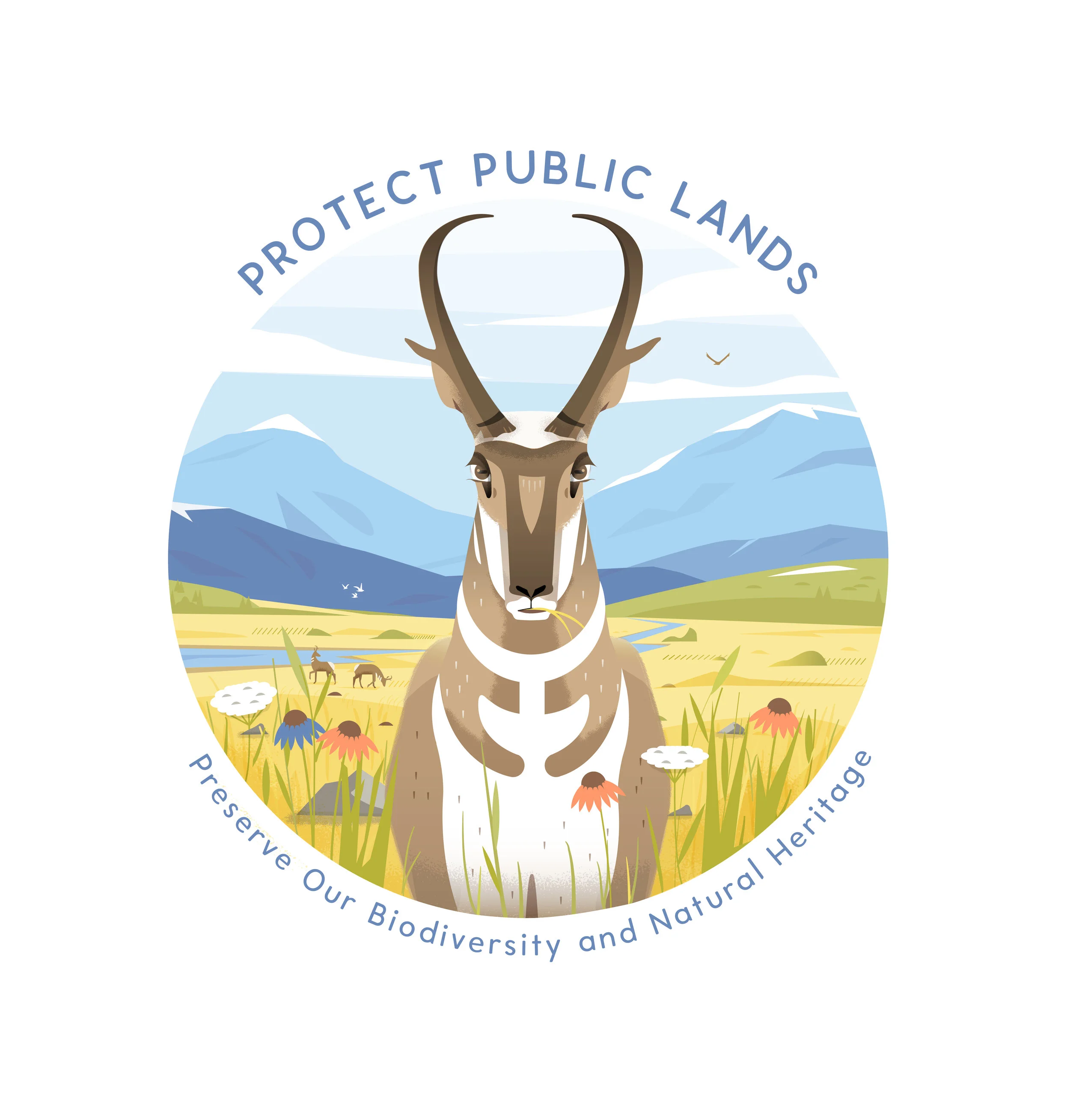 Pronghorn 11-01.jpg