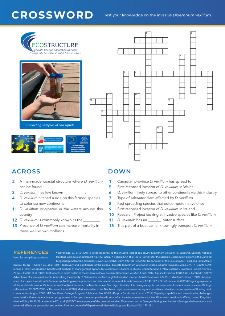 DVexCrossword.png