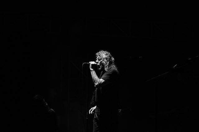 ROBERT PLANT