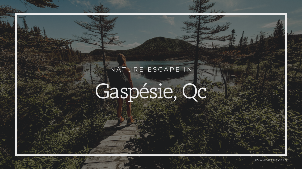 Gaspésie epic CINEMATIC travel video (filmed with the Fujifilm X-T4)