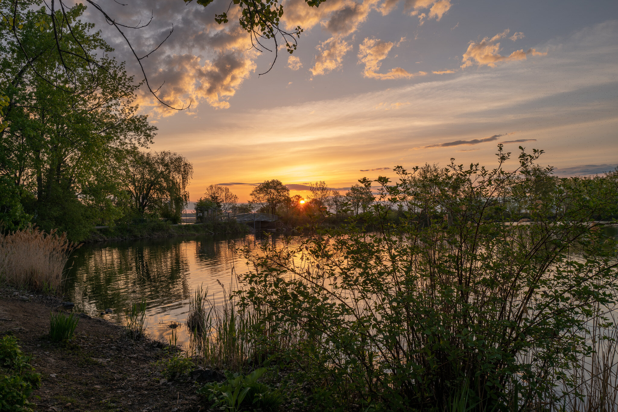 2021-05-18_LEICA Q2_morning_stroll_parc_des_rapides_L1000102.jpg