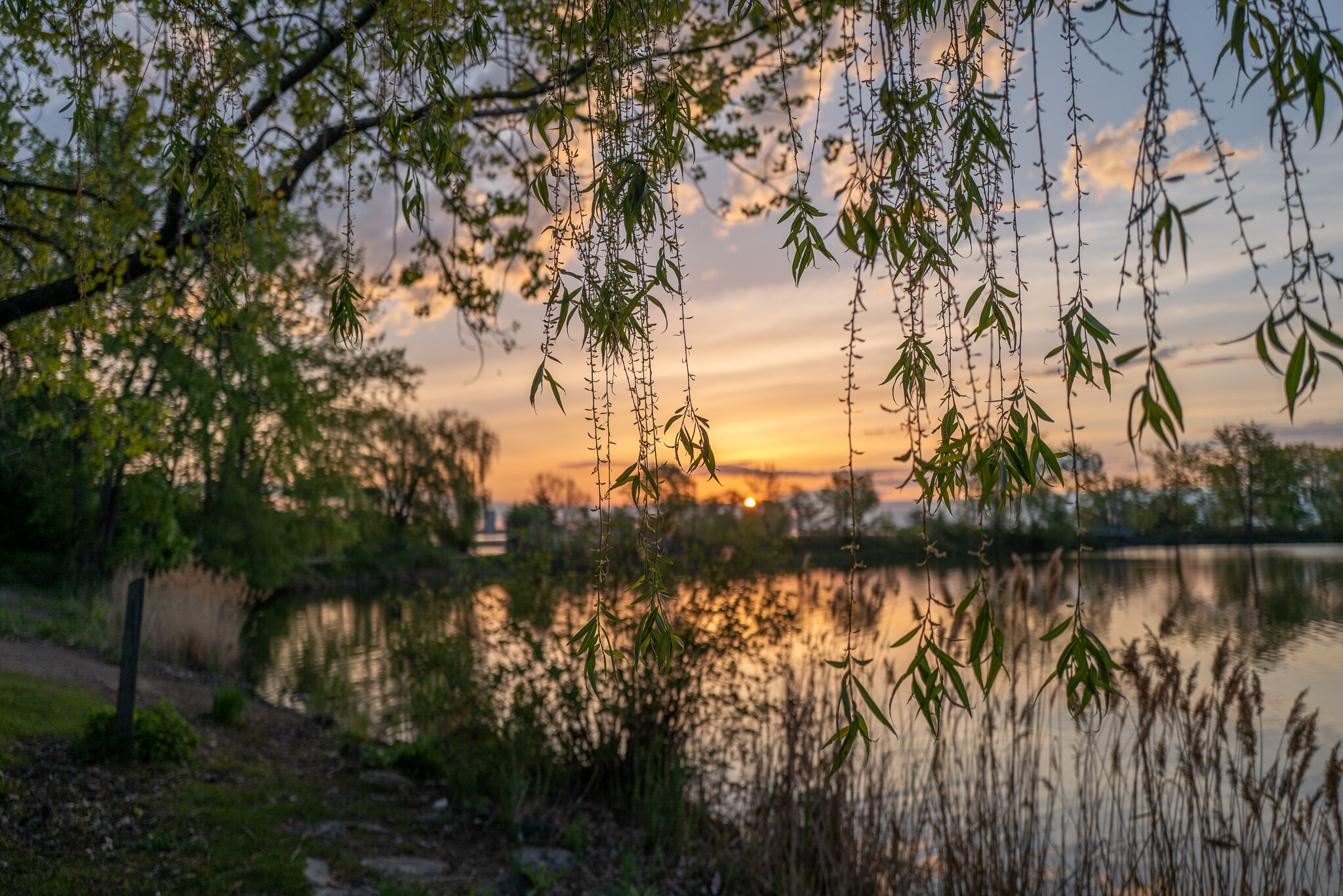 2021-05-18_LEICA Q2_morning_stroll_parc_des_rapides_L1000099.jpg