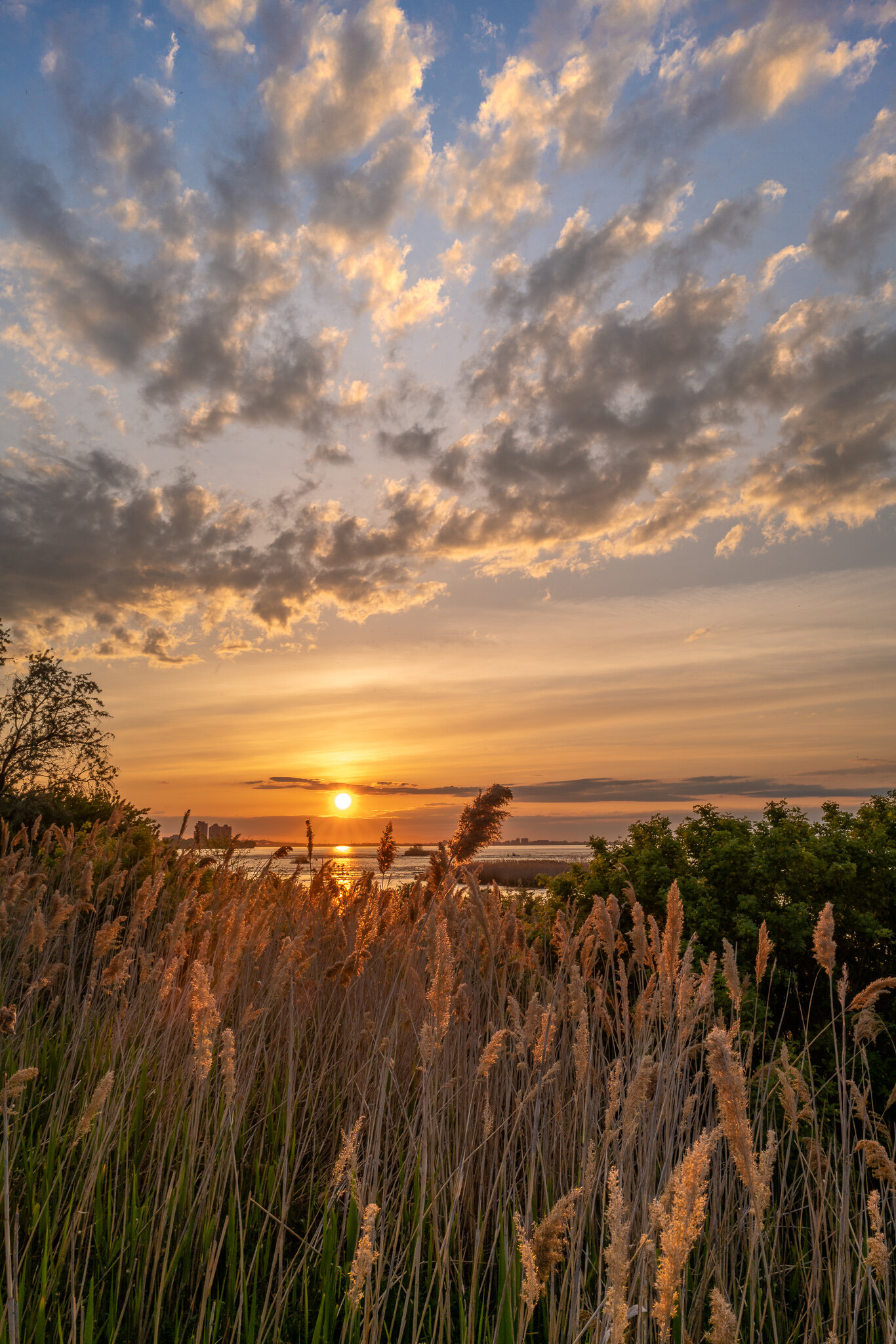 2021-05-18_LEICA Q2_morning_stroll_parc_des_rapides_L1000119.jpg