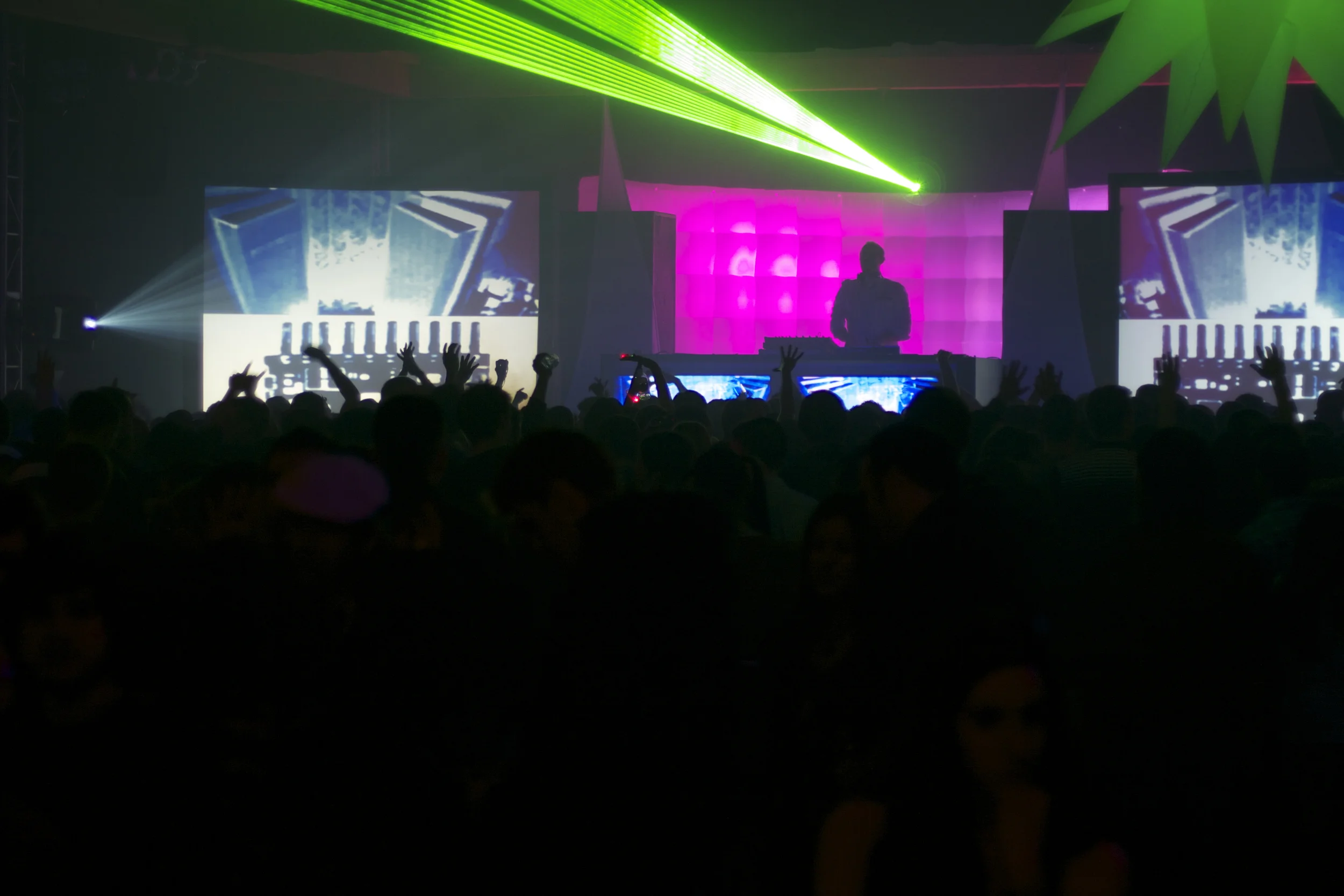 P1010917.jpg