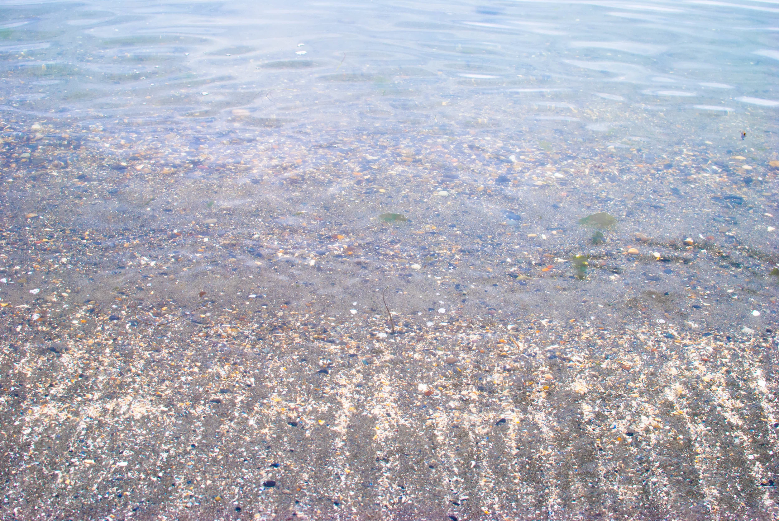 Edmonds-3.jpg