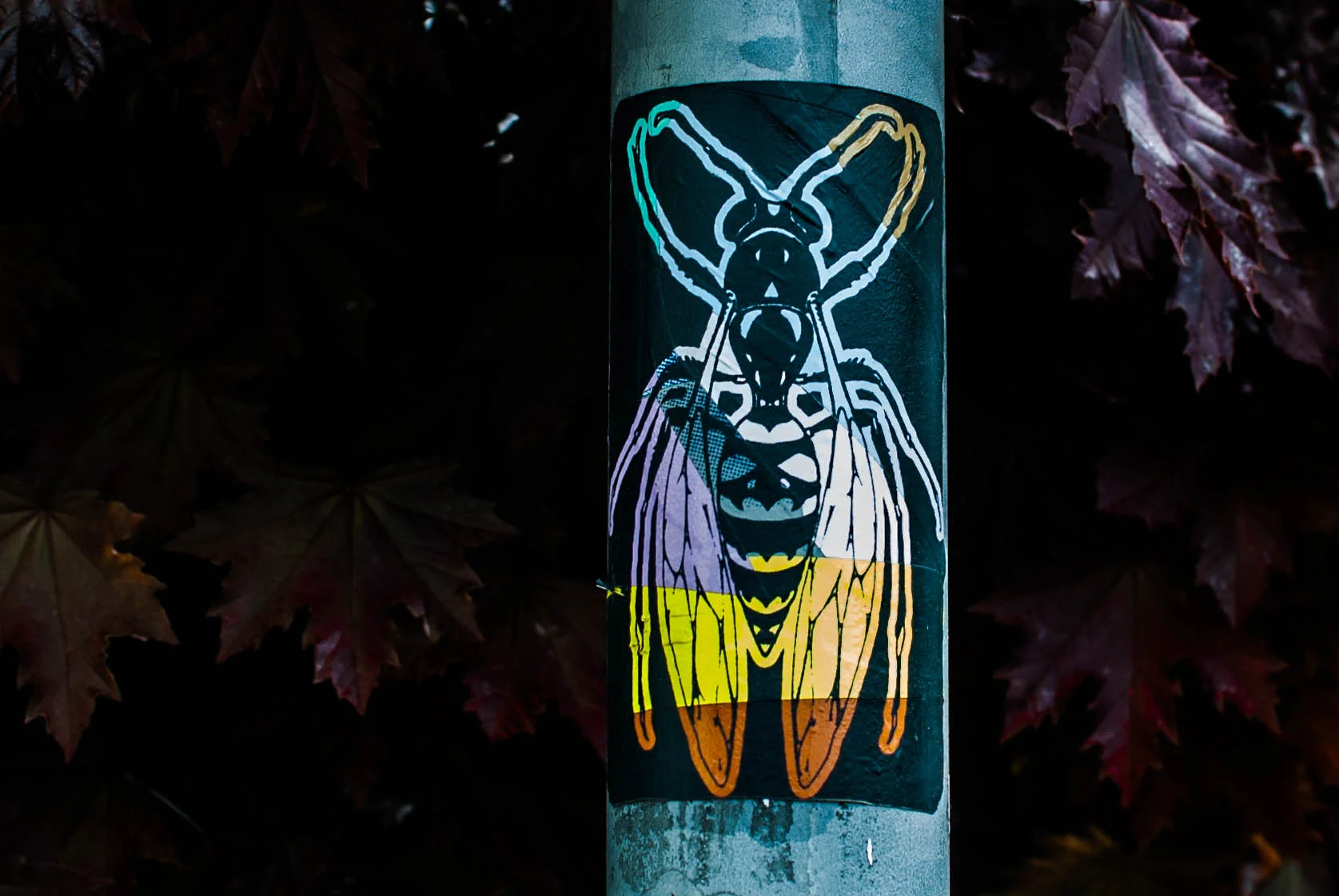 Portland Graffiti-5.jpg