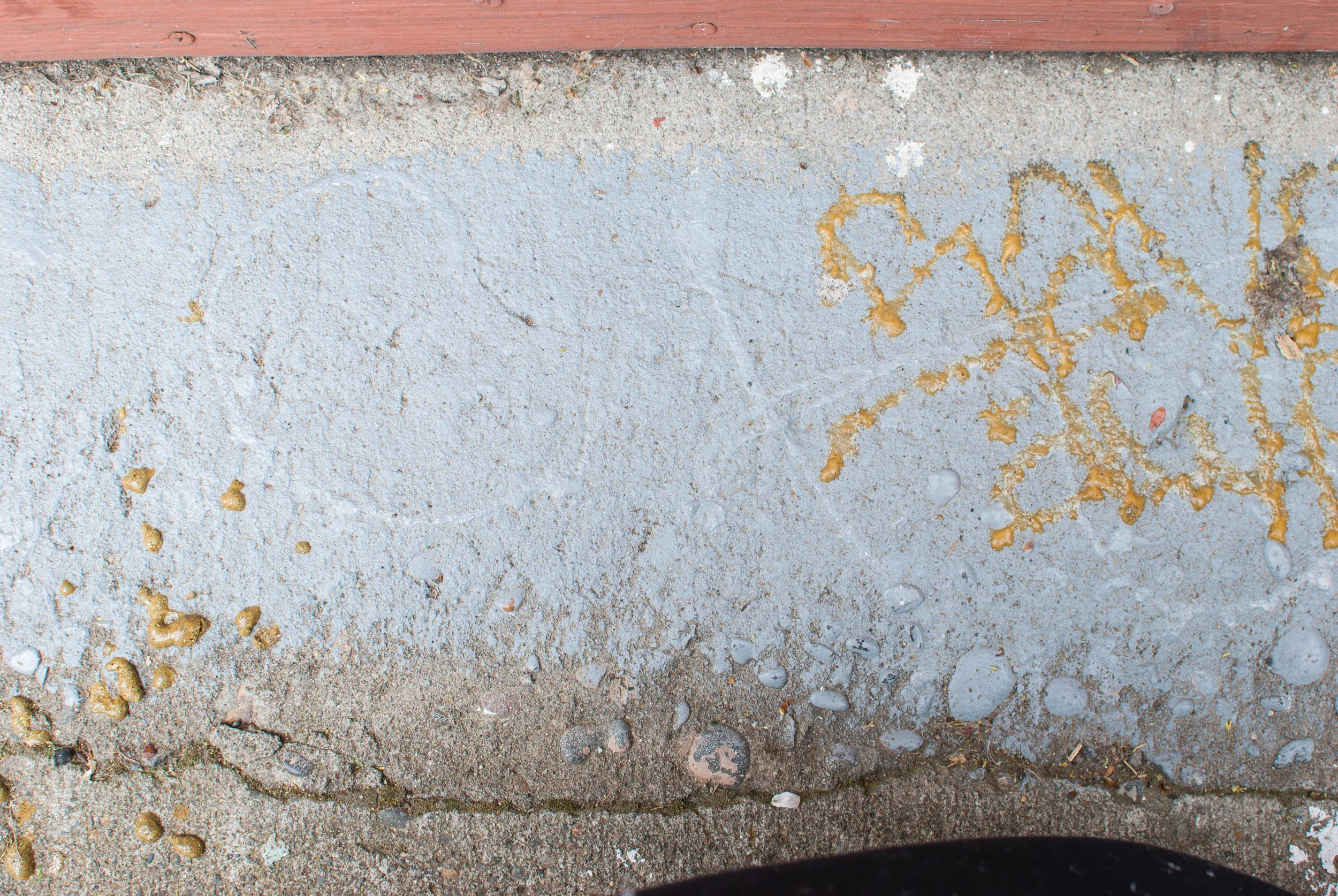 Portland Graffiti-8.jpg