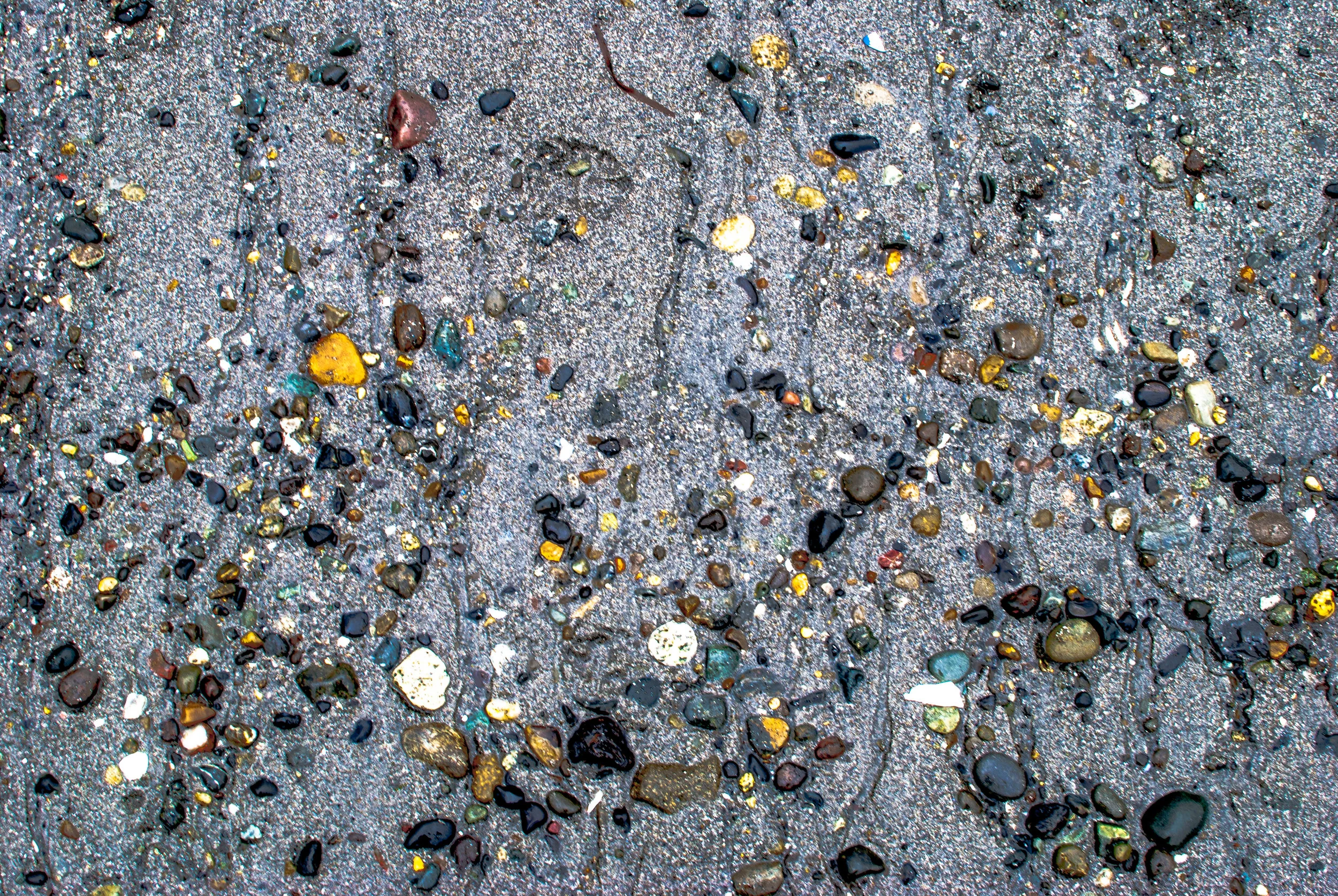 Edmonds-1.jpg