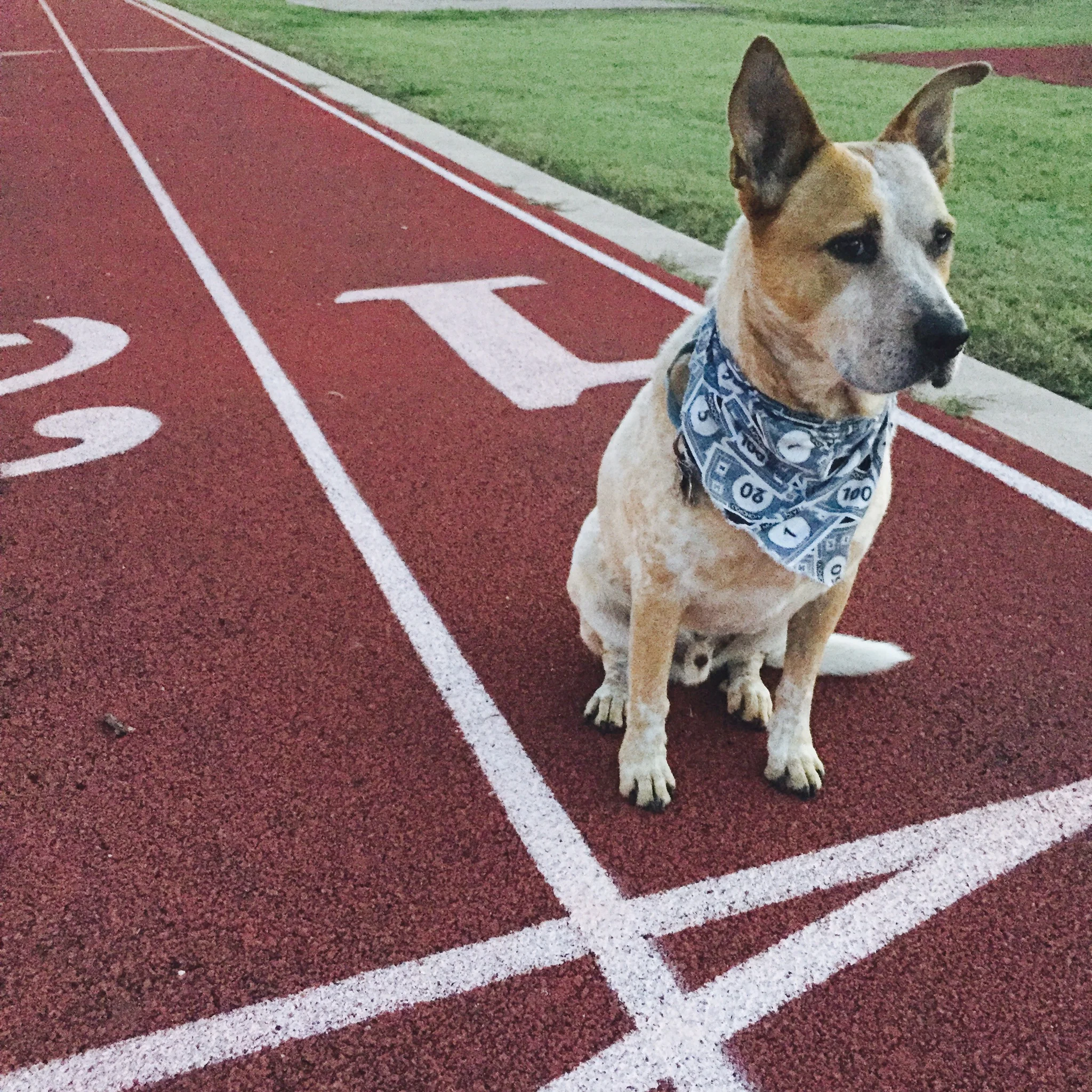 eddie race.jpg