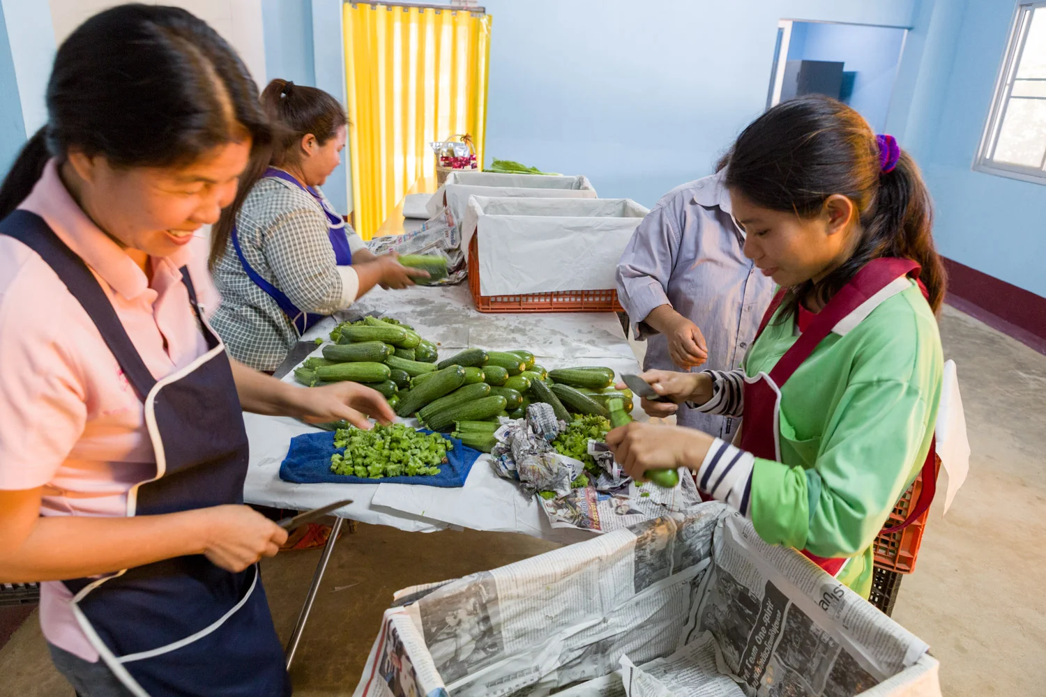Christine McNabLanguage at the Golden Triangle