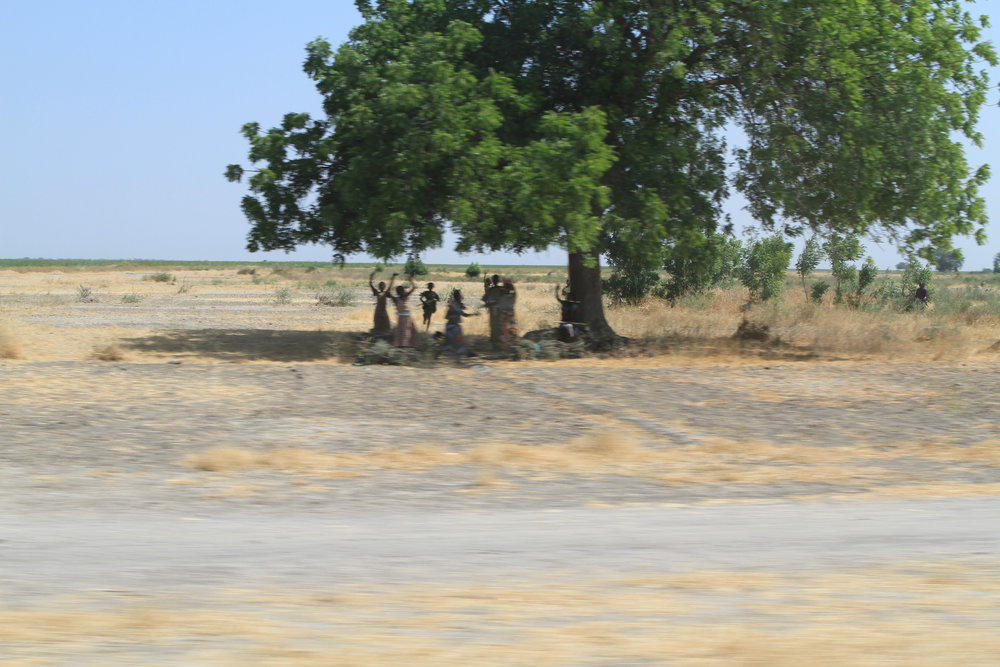  We were driving up to a village on Lake Chad. There was a big convoy of us and people ran out to wave as we went by.&nbsp; 