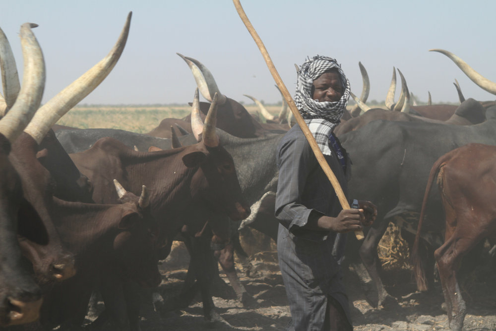  We pass cattle herders on the way.&nbsp; 