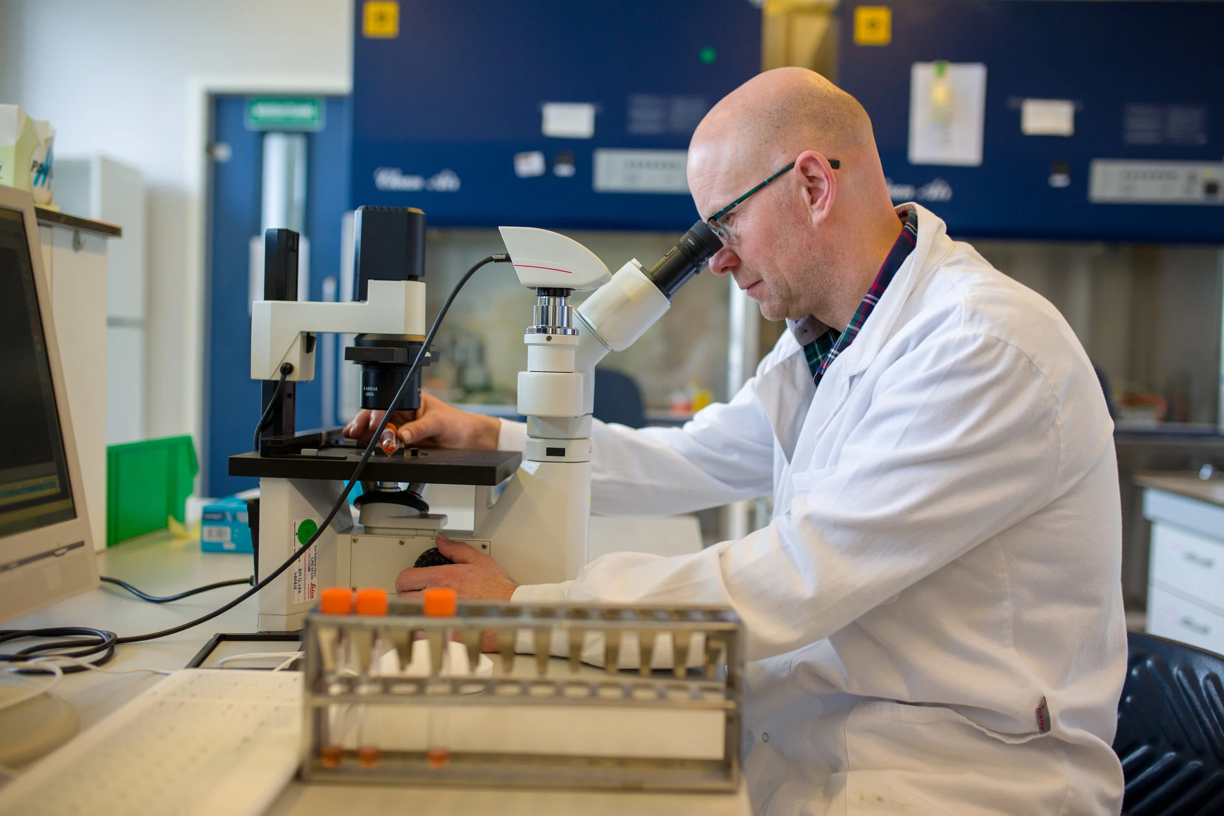  Dr. Erwin Duizer, the head of the Dutch national polio laboratory examines cell cultures from sewage samples for poliovirus. . RIVM, Bilthoven, the Netherlands. 