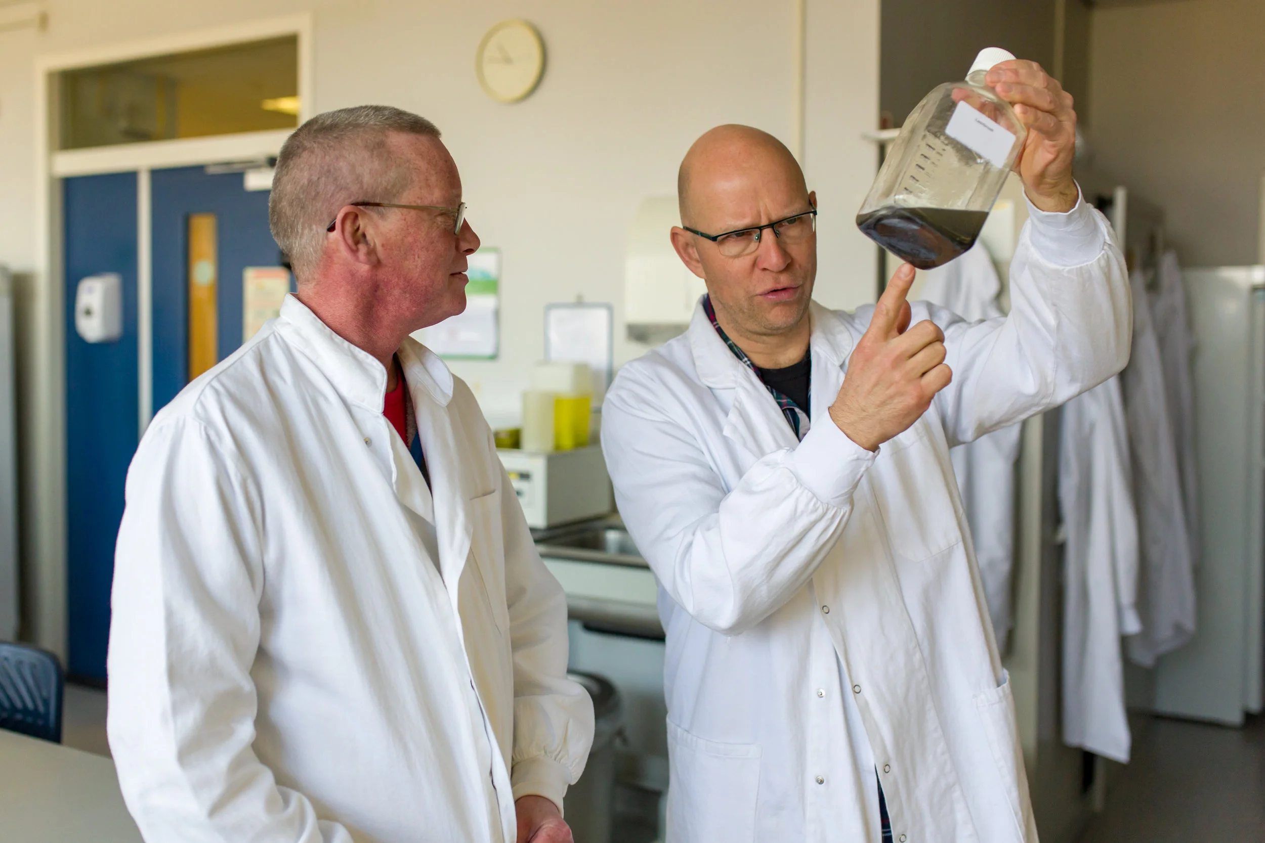  Dr. Erwin Duizer, the head of the Dutch national polio laboratory examines a sewage sample. These samples are regularly taken near orthodox Dutch reformed schools and tested for poliovirus.  Bilthoven, the Netherlands.  