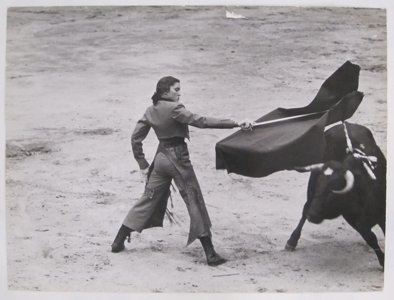 Known as "The Golden Goddess", Cintrón became the first female bullfighter ( torera ) to compete when she did so in 1936, at age fourteen. Widely seen as the most famous female bullfighter in the history of the sport, Cintron gored over 750 bulls during her extensive career. At a 1940 event in Mexico, Cintrón was injured by a bull and brought to the infirmary. She refused to be taken off-site and later returned to the ring to kill the bull before collapsing. Her popularity in the sport was so great, that when she was arrested in Spain for entering the ring and bullfighting on foot (only fighting from horseback was allowed at the time), the audience sprang to her defense. As riots threatened to break out in the streets, the regional governor was forced to pardon Cintrón. Orson Welles, who wrote the introduction to her autobiography later said: " Her record stands as a rebuke to every man of us who has ever maintained that a woman must lose something of her femininity if she seeks to compete with men ."