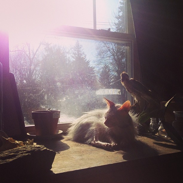 Priscilla's favorite activity.