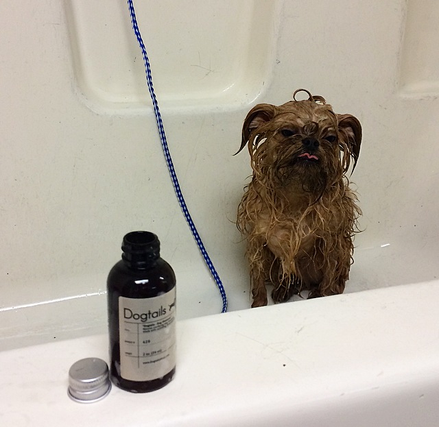 Henry's "Ugh, baths" face