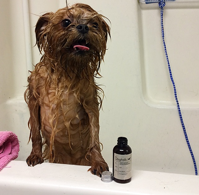 Squeaky-clean!