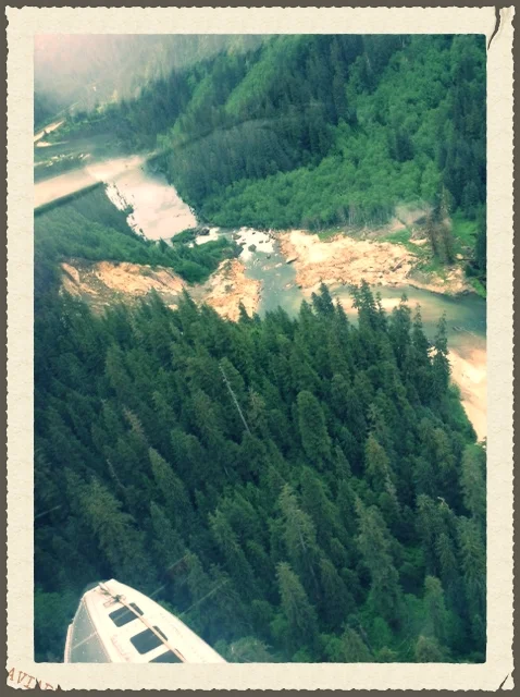 A river seen from a float plane in Misty Fjords.