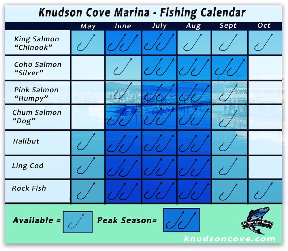 Plan your trip to go for your favorite catch using our fishing calendar! Single hook means the fish is in season, and double hooks are peak season. Can't wait to see what you catch this summer 🎣
-
-
#ketchikan #knudsoncovemarina #alaska #fishing #sa