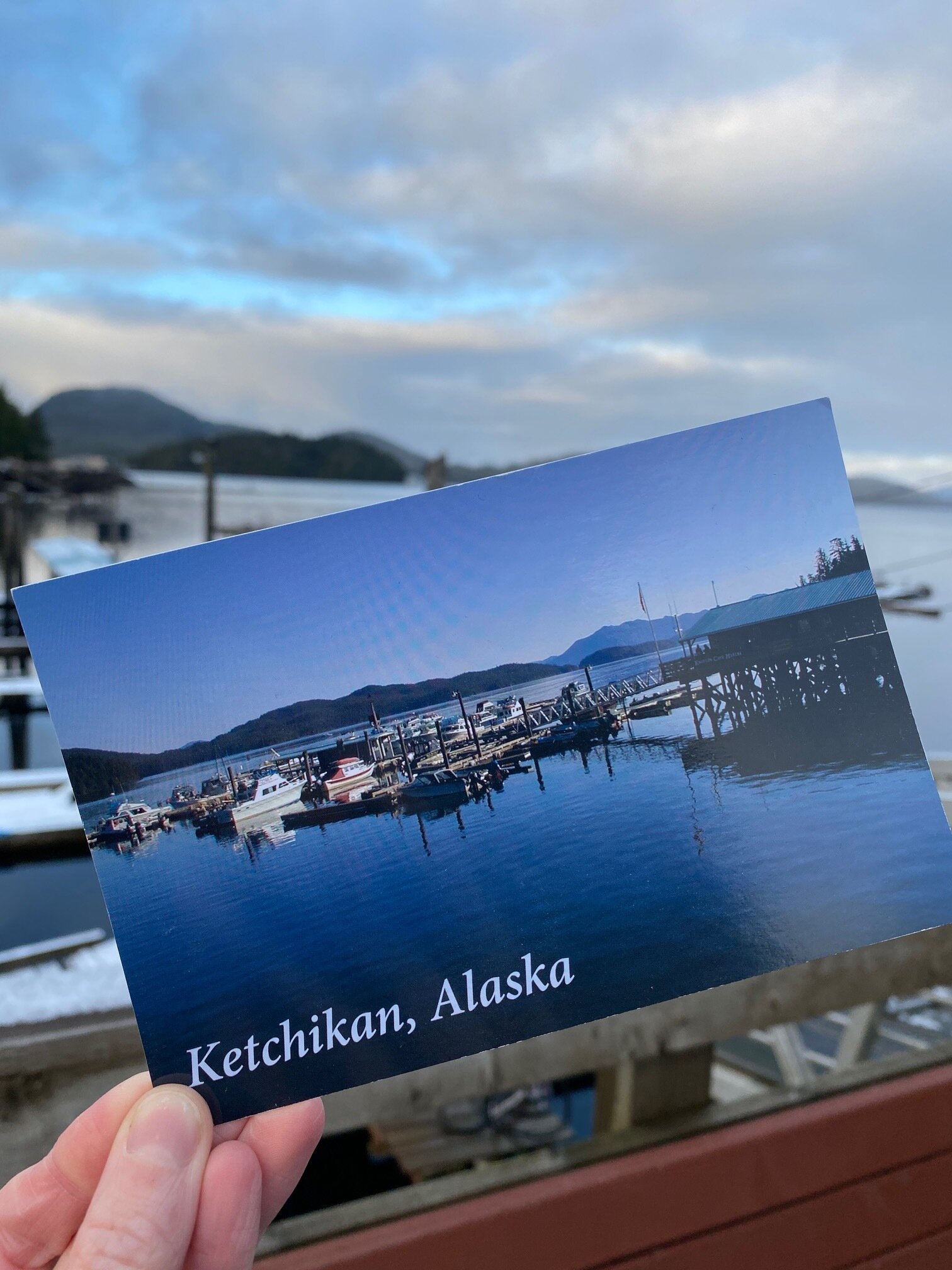 Knudson Cove Postcard