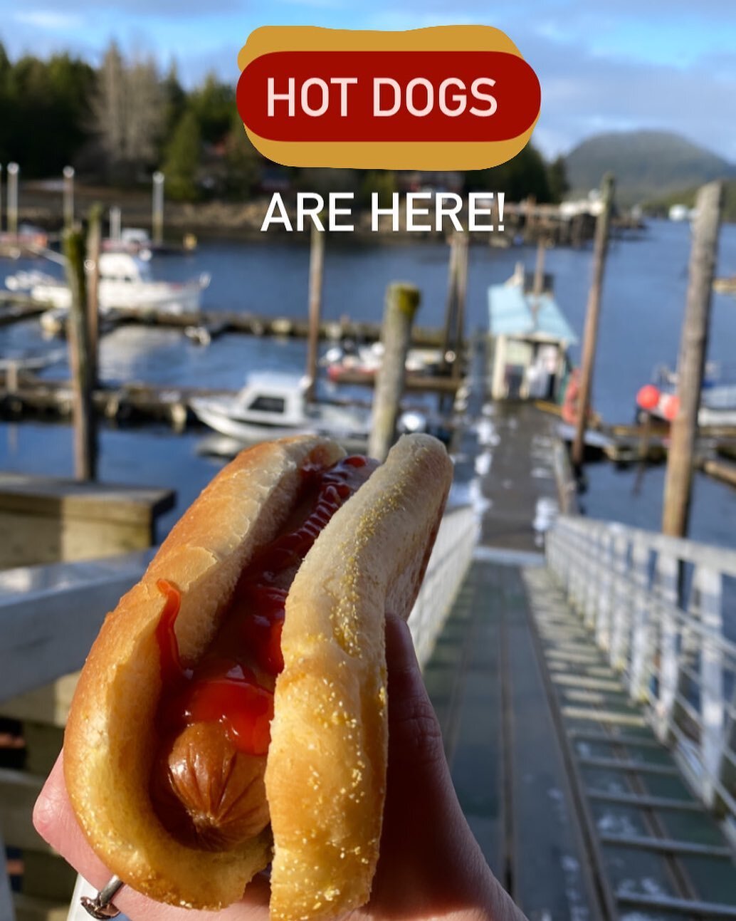 Hot dogs are back at Knudson Cove Marina!  Cheddar smoked sausages, toasty buns and all the ketchup and mustard you could want! Next time you are in grab a hot dog, bag of chips and a soda for just $5 🌭