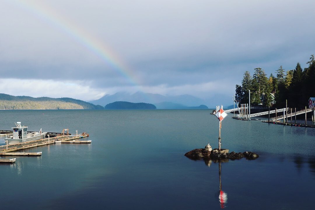 Looked like spring this morning! 😮 who knows what will come next..rain? snow? sun? 
-
-
#ketchikan #alaska #landscape #rainbow #salmon #halibut #fishing #fishalaska #ketchikanalaska #alaskatrip #alaskalife