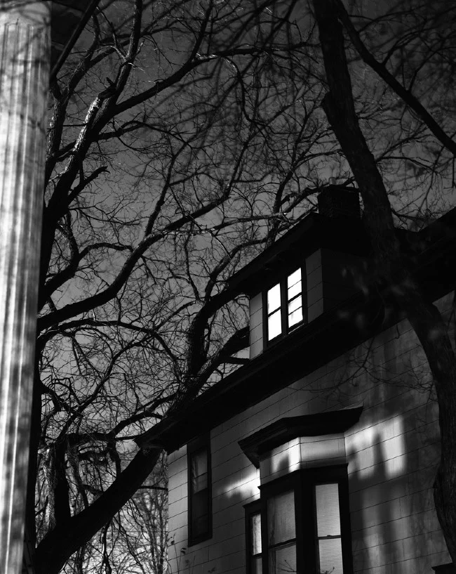 nthomas_light7.jpg