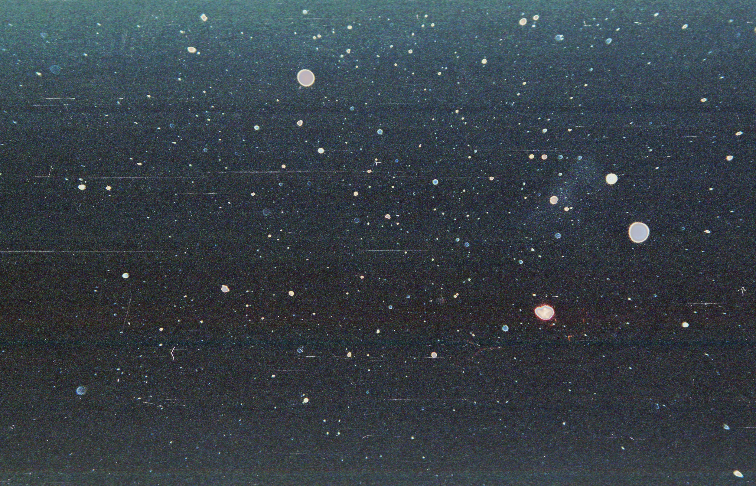 j19.jpg