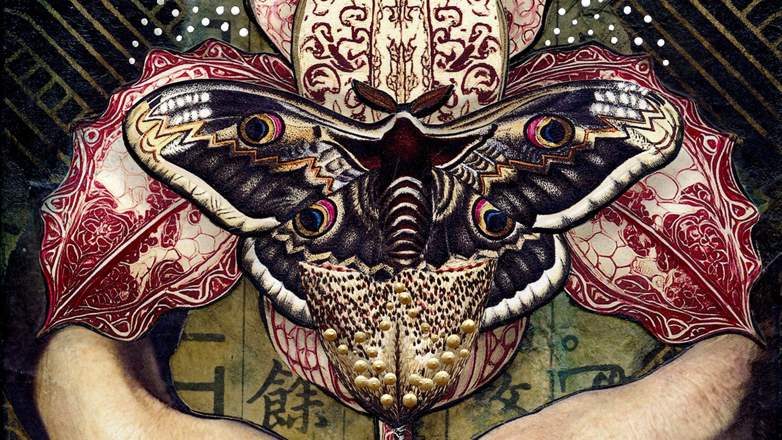 Moth-closeup-full screen.jpg