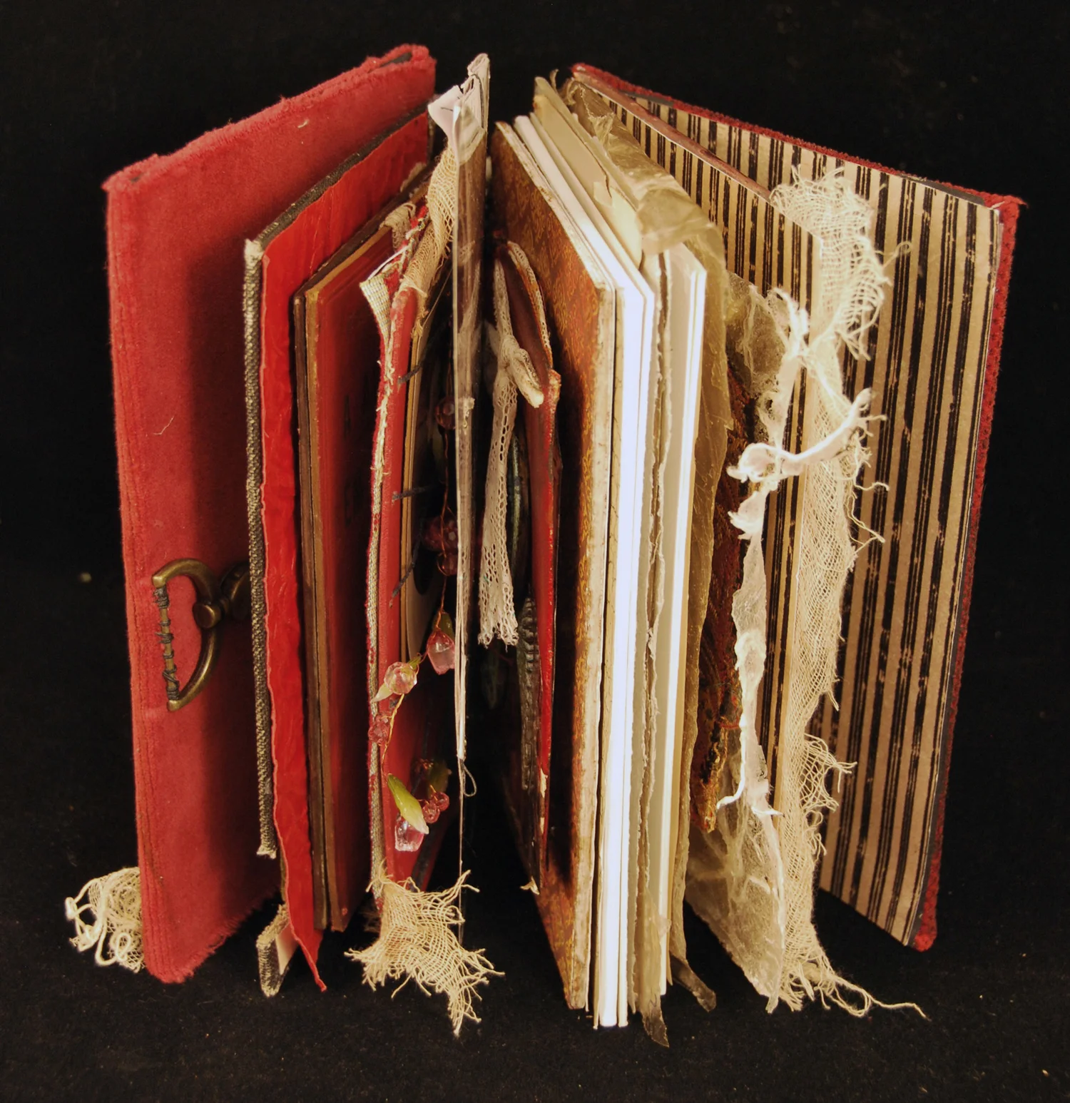 Andrea Matus deMeng - Single Minded Book 2.jpg