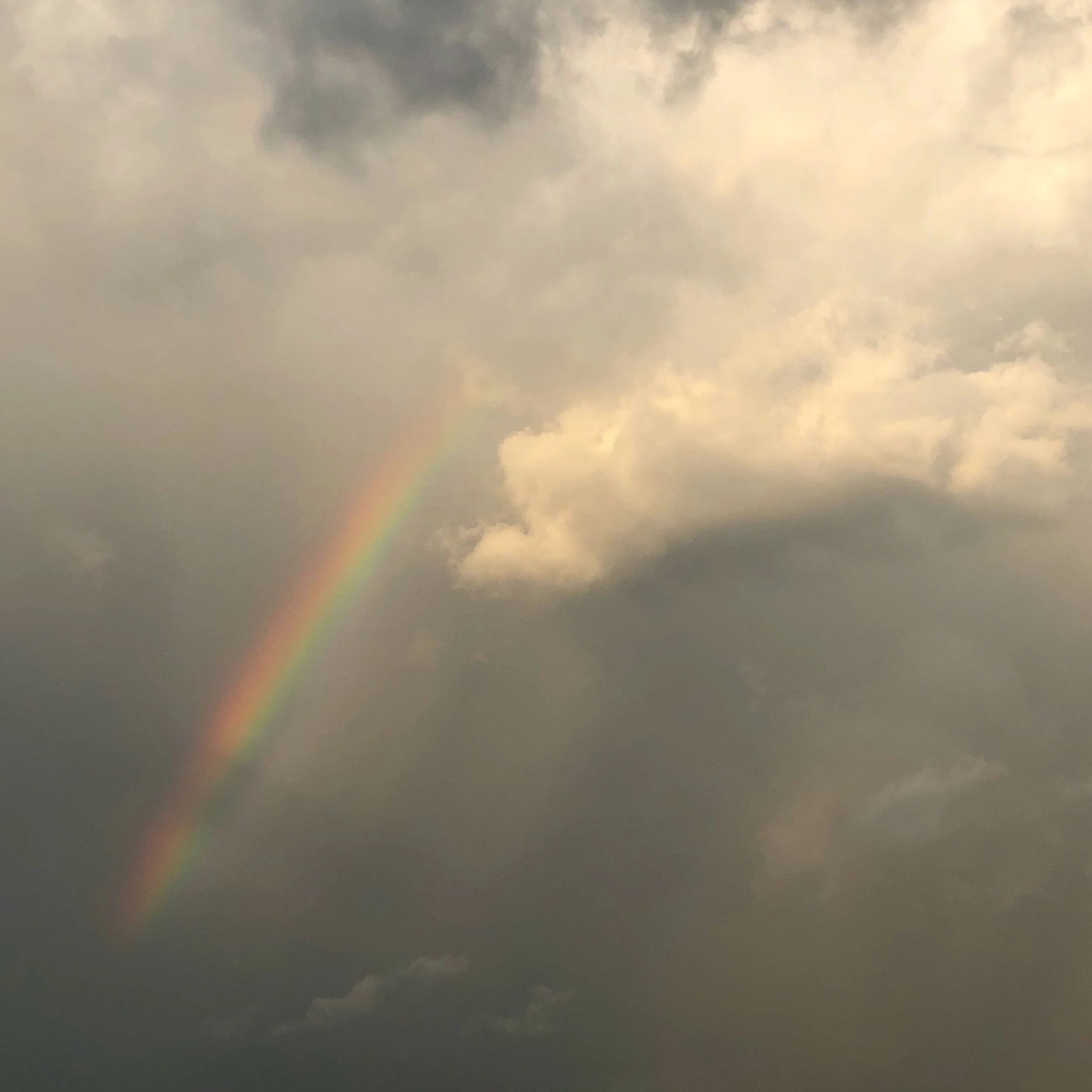 The Secret to Having Hope in Hopeless Times