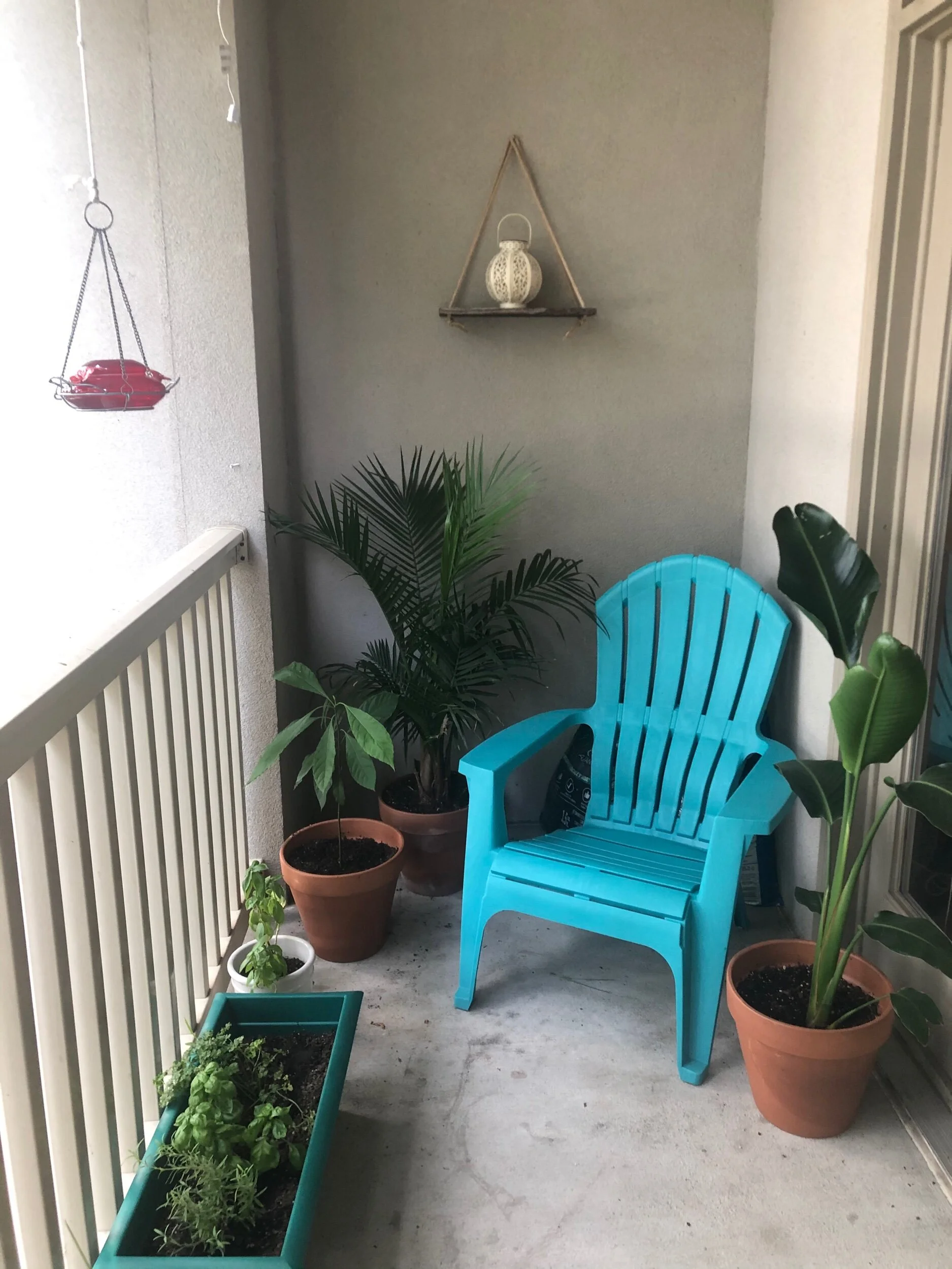 The tropical oasis just outside my door